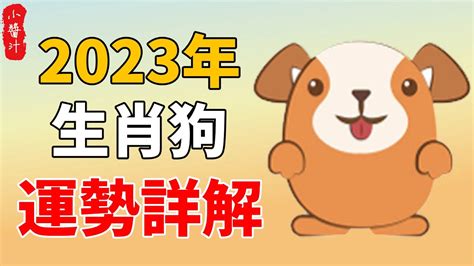 2023屬狗運勢1970|属狗1970年出生的人2023年全年运程运势